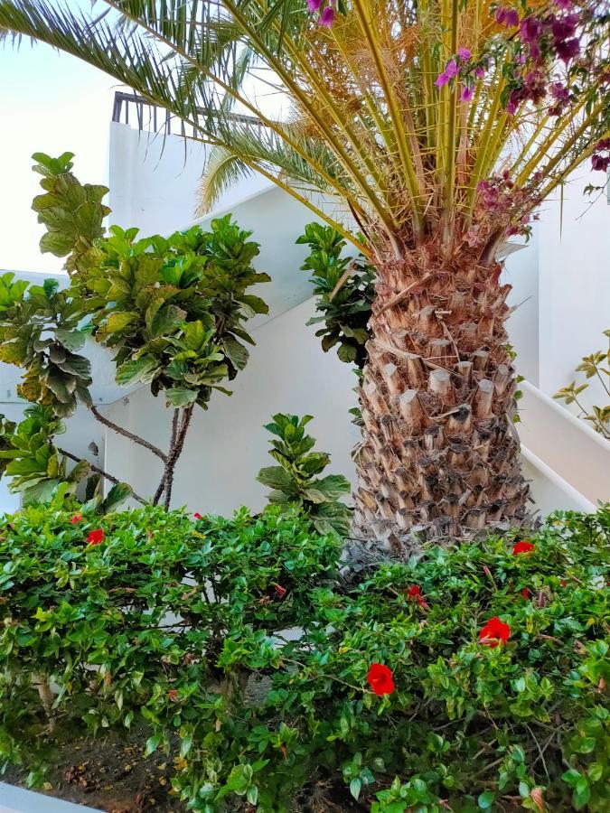 Апартаменты Flor De Cactus Коста-Тегисе Экстерьер фото
